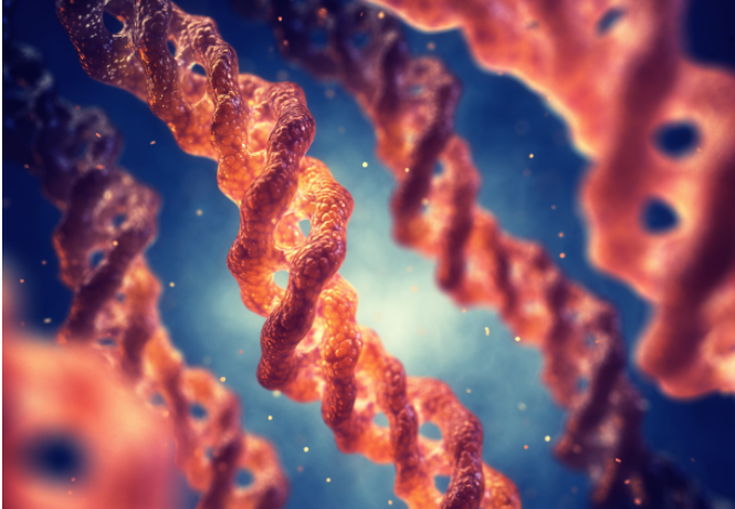 Benefits of collagen supplements