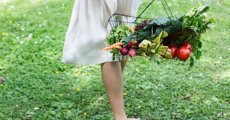 Why should you take food/dietary supplements?