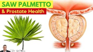 Saw palmetto for enlarged prostate Kenya